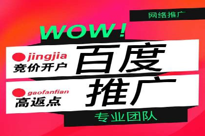 如何在百度上通过SEO实现精准推广？——案例分享